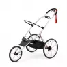 Chassis Cybex Sport Avi