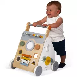 Caminador Janod Multiactividades Sweet Cocoon