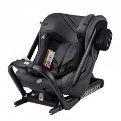 Silla Auto Axkid ONE 2