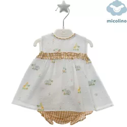 Jesusín com cuecas Micolino Isabela