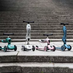 Scooter 2 em 1 Scoot and Ride HIGHWAYKICK ONE | Crioh.com