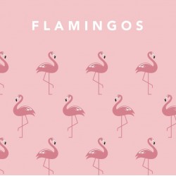 Bañador Pañal Btbox UPF50+ Flamingo •