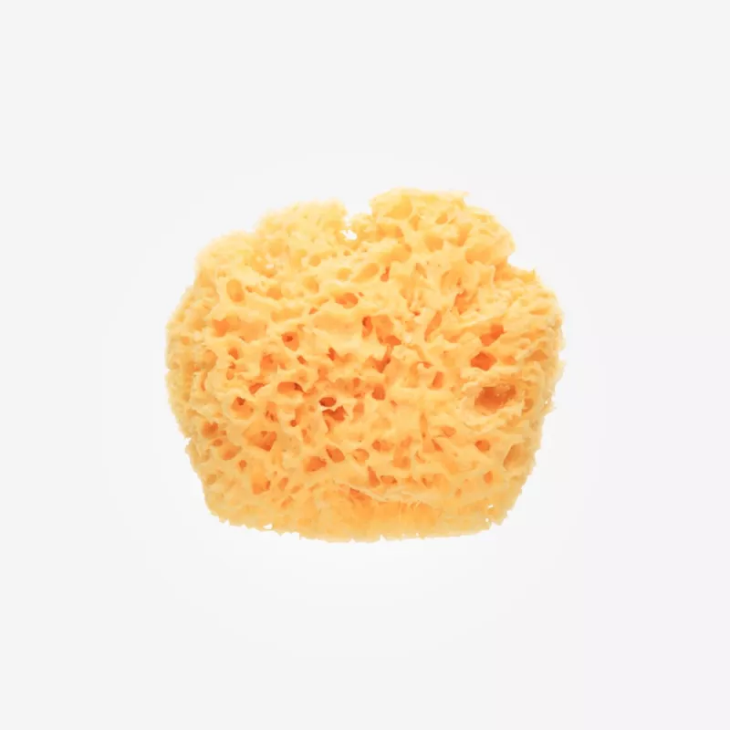 Esponja Natural Saro