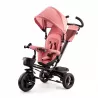 Triciclo Kinderkraft Triciclo reversível e dobrável AVEO