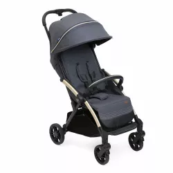 Silla Paseo Chicco Goody XPLUS