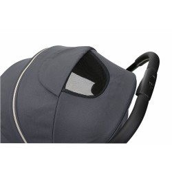 Silla Paseo Chicco Goody XPLUS con minibi