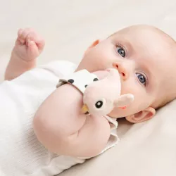 Juego Sonajeros de Muñeca Done by Deer Happy Clouds