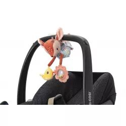 Acti-Nomada Lilliputiens Stella