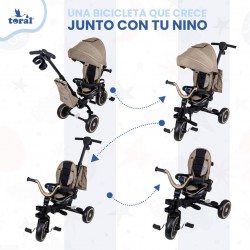 Triciclo Toral SIENA con bolso termico