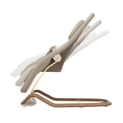 Hamaca Maxi-cosi DOVE Pro con cesta y arco de juego