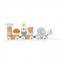 Tren Janod de Caracol