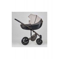 Cochecito Duo 2 en 1 Anex E-Type con minicuna y hamaca