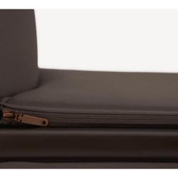 Cochecito duo Anex IQ Basic con minicuna y hamaca