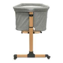 Cochecito duo Anex IQ Basic con minicuna y hamaca