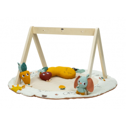 Gymini Luxe Garden of Adventures  Tiny Love