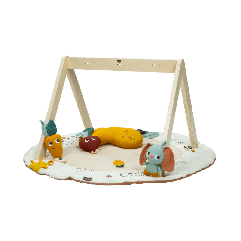 Gymini Luxe Garden of Adventures  Tiny Love