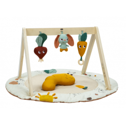 Gymini Luxe Garden of Adventures  Tiny Love | Crioh.com