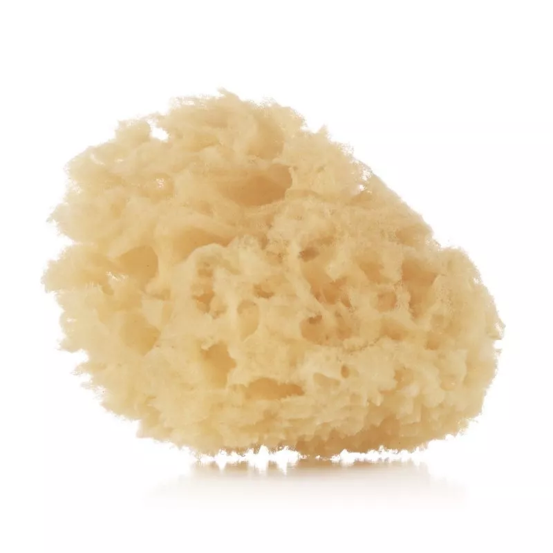 Esponja Natural JANE