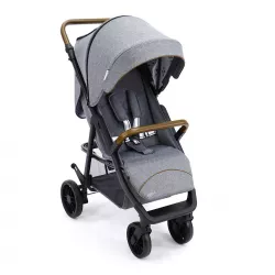 Silla paseo Asalvo NESS con plastico de lluvia