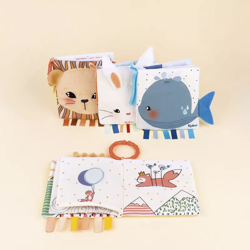 Livro de actividades Kaloo Coelho apaixonado