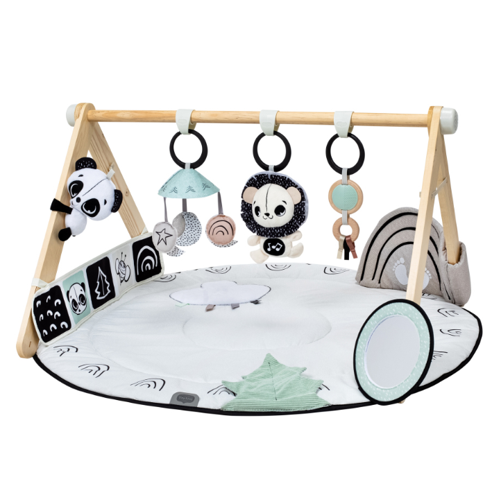 Luxe Gymini Garden tiny Love Developmental Gymini Black & White Décor