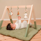 Baby Gym Con Juguetes Little Dutch Pequeña Granja