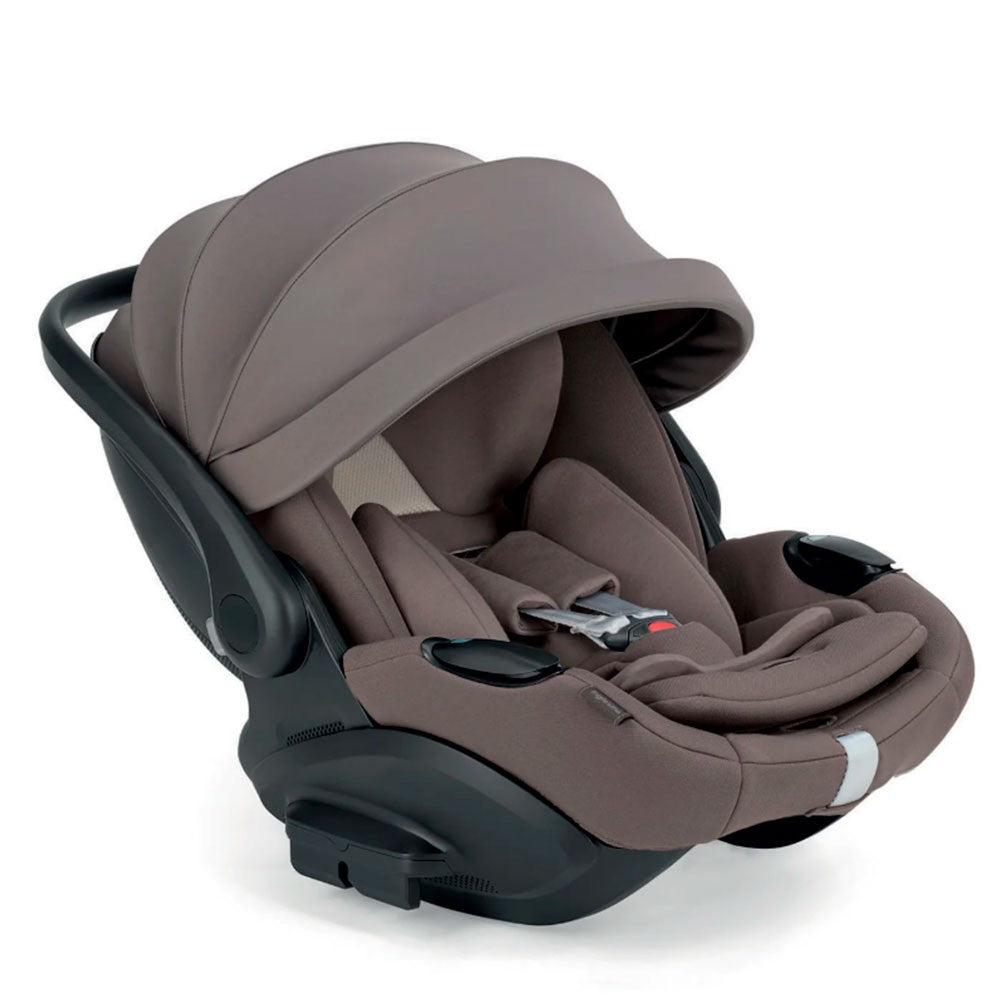 Grupo 0 Inglesina Darwin Infant Recline Evo