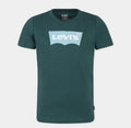 B84-Verde