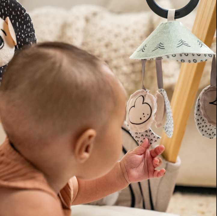 Luxe Gymini Garden tiny Love Developmental Gymini Black & White Décor