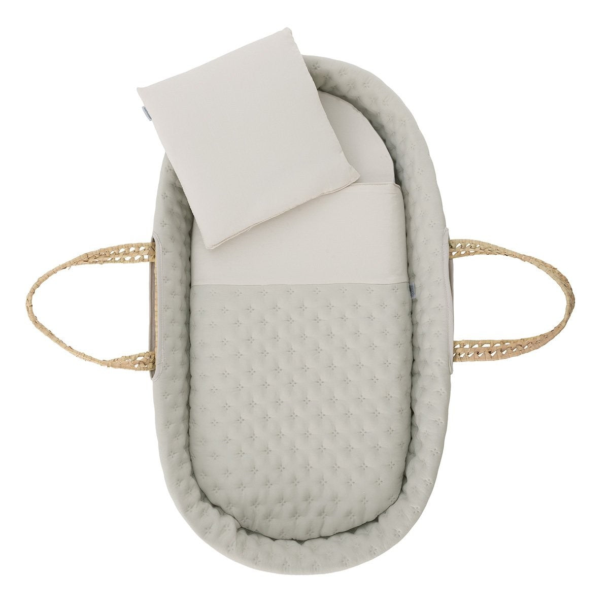 Moises palma acolchado + patas natural Cambrass Tender
