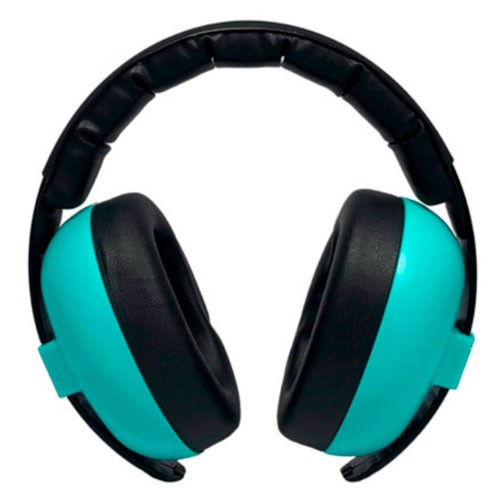 BANZ1261