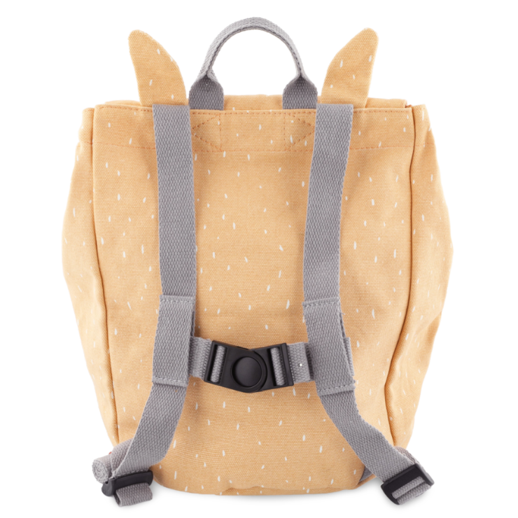 Mini mochila infantil Trixie Mr. Mapache