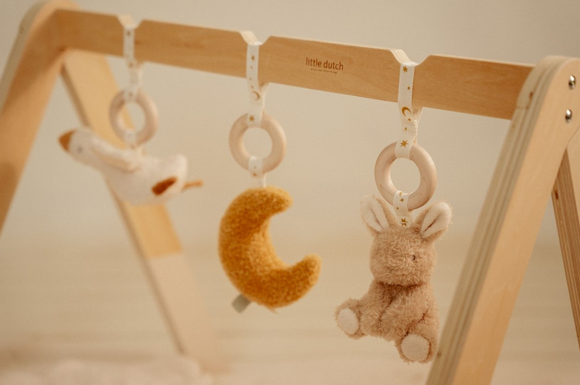 Baby Gym con juguetes Little Dutch newborn naturals