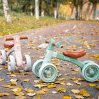 Bicicleta de equilibrio Saro Ride Free