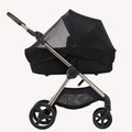 Mosquitera Anex IQ