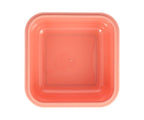 Caja Tutete Almuerzo Grande Wild Fairies