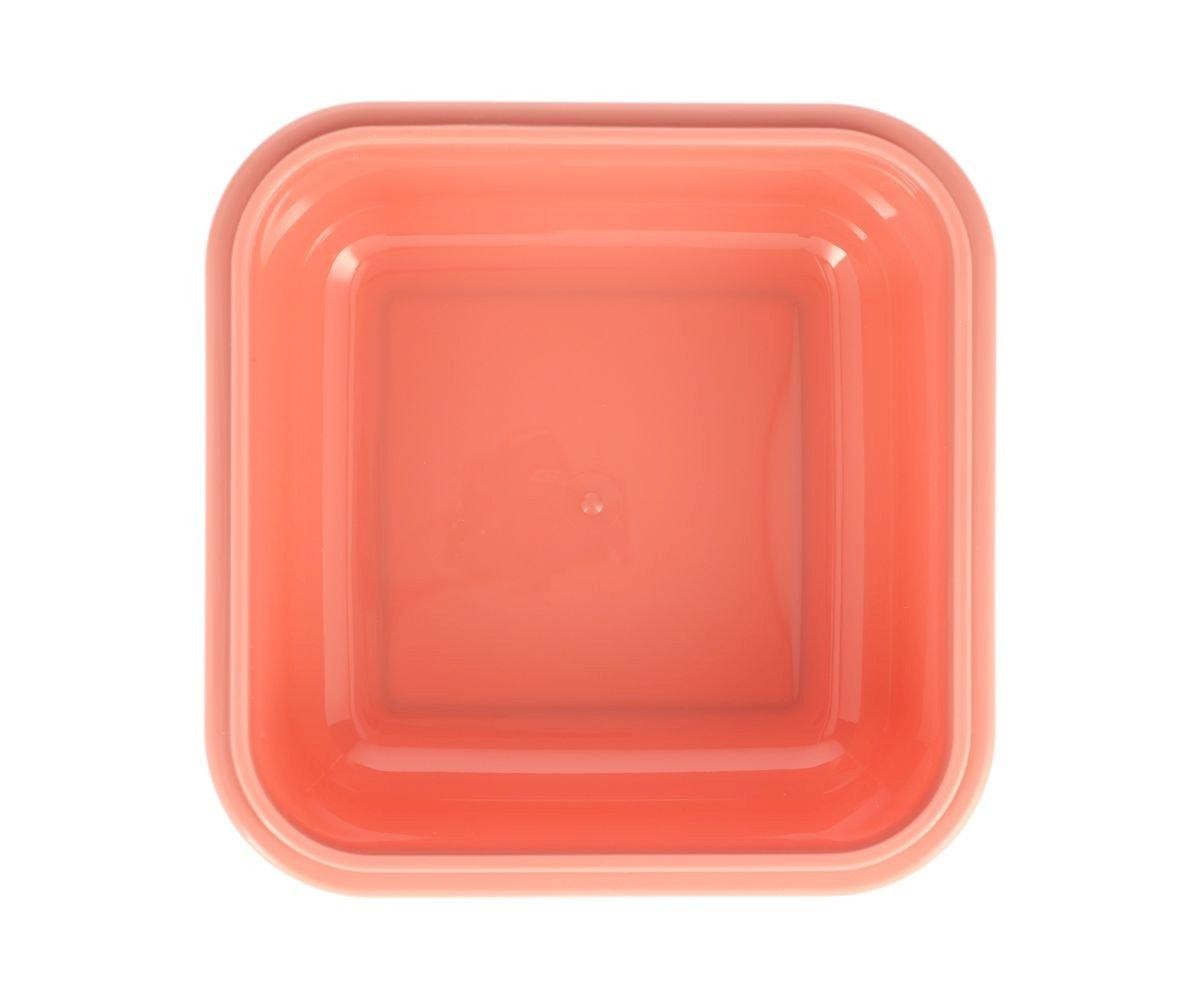 Caja Tutete Almuerzo Grande Wild Fairies