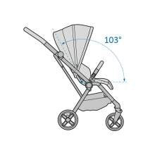 Silla Paseo Maxi-Cosi LEONA 2 reversible