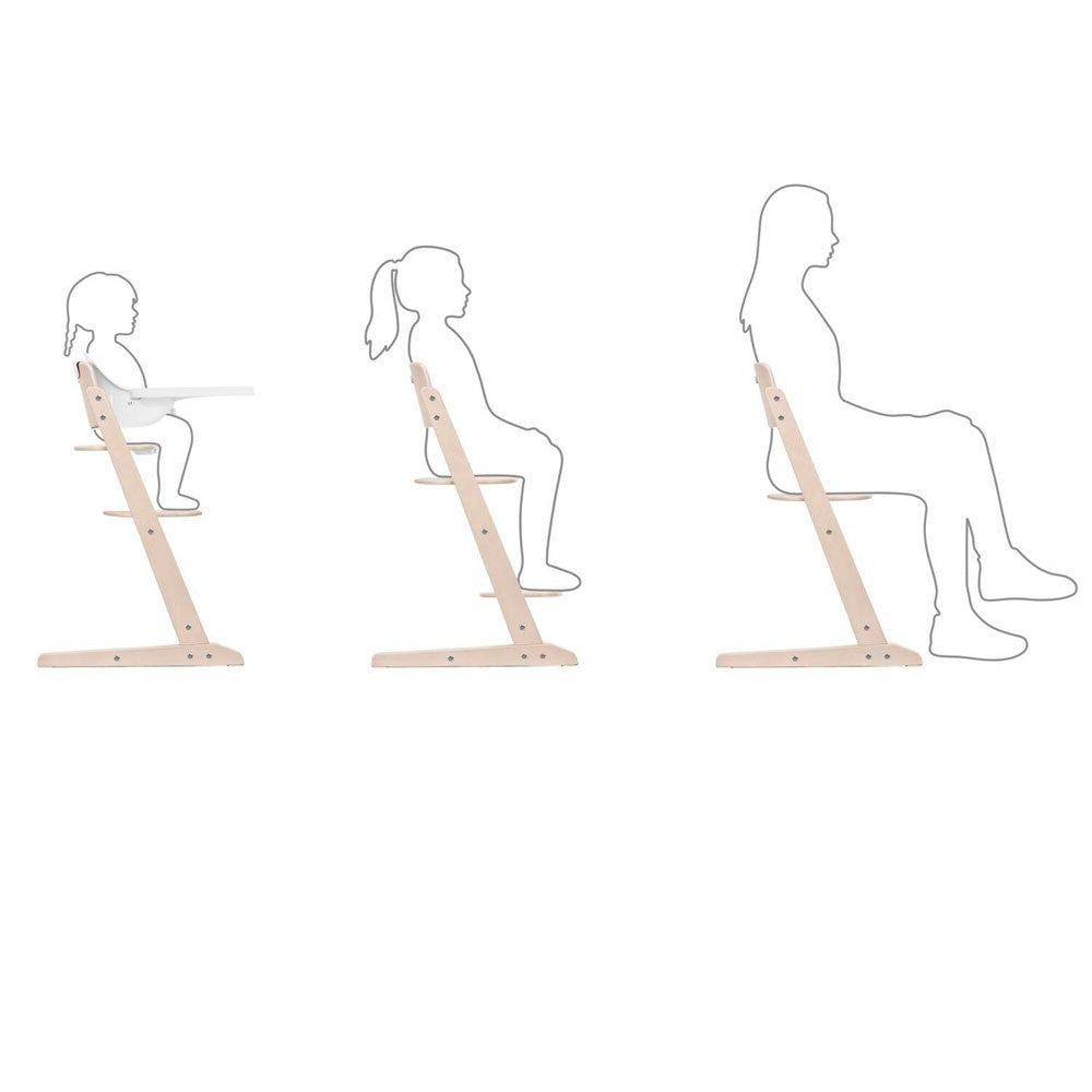 Silla evolutiva Cybex Iris