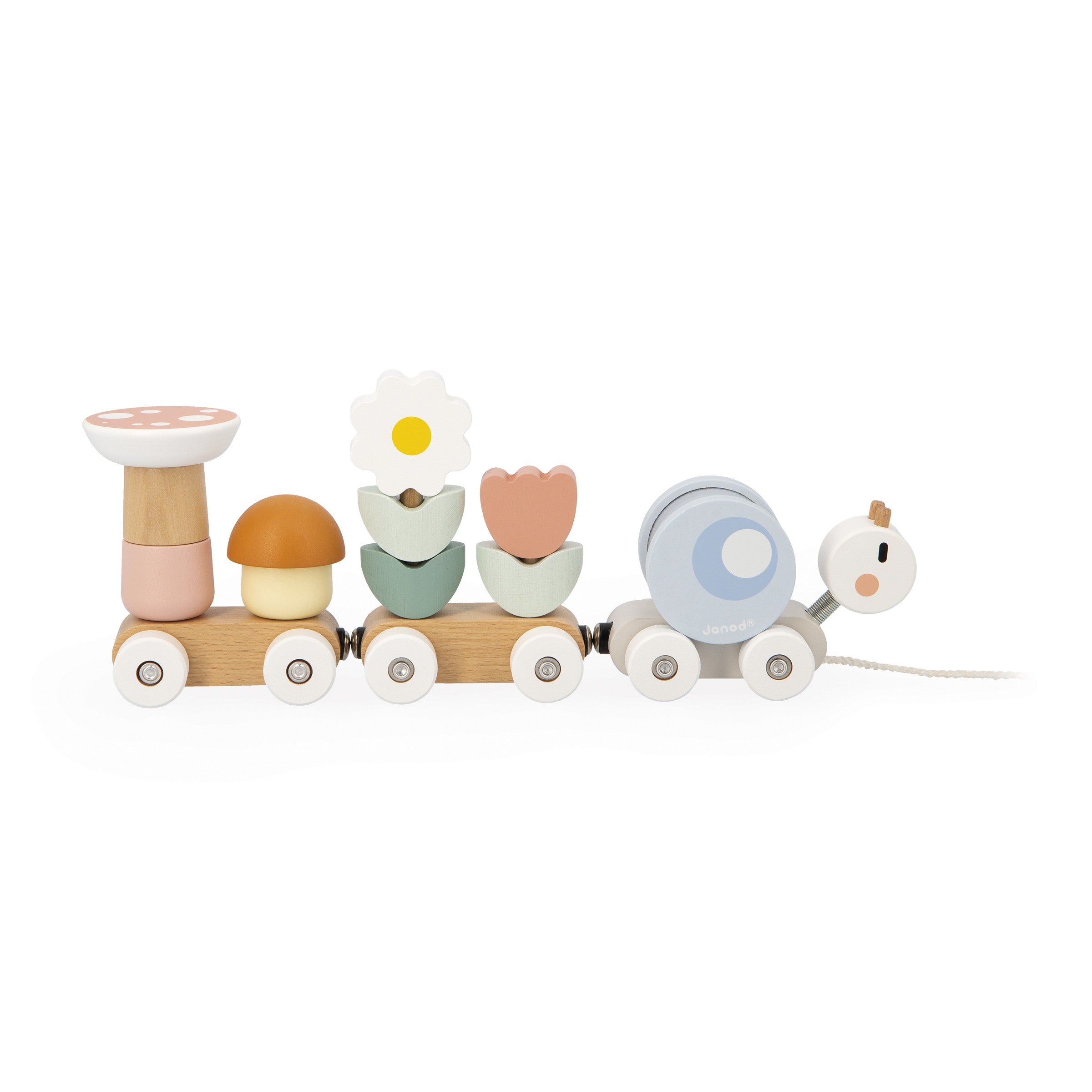 Tren Janod de Caracol
