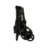Silla Paseo Asalvo ICONIC hasta 22kg