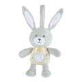 Mi Primer Conejito Chicco