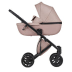 Cochecito Duo 2 en 1 Anex E-Type