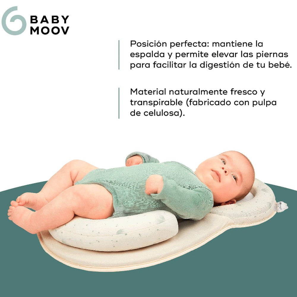 Cojin ergonómico y transpirable Babymoov Cosydream Fresh