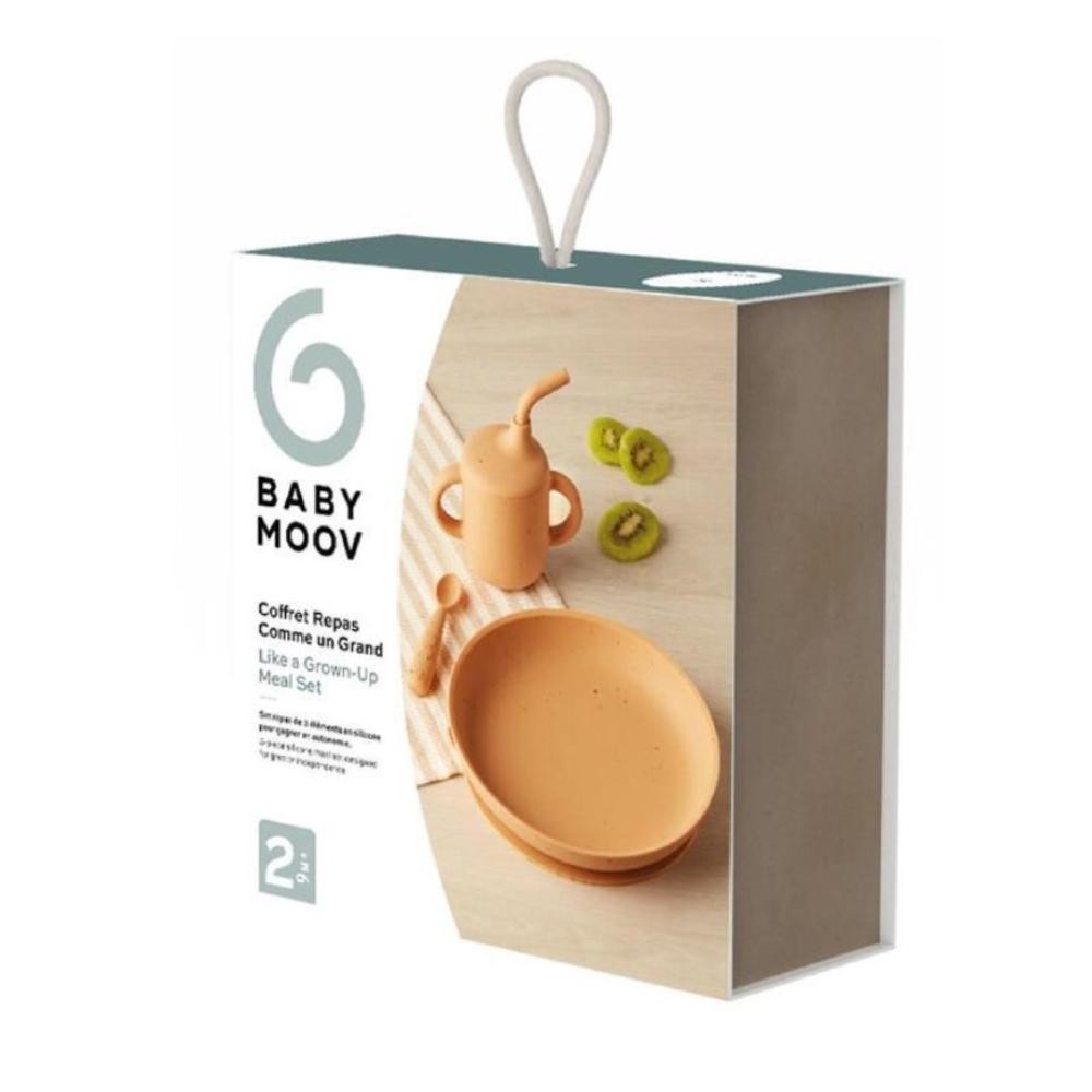 Set comida 9M+ Babymoov Little Art