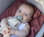 2 Chupetes BIBS De Lux Silicona