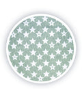 Fun Vintage Star