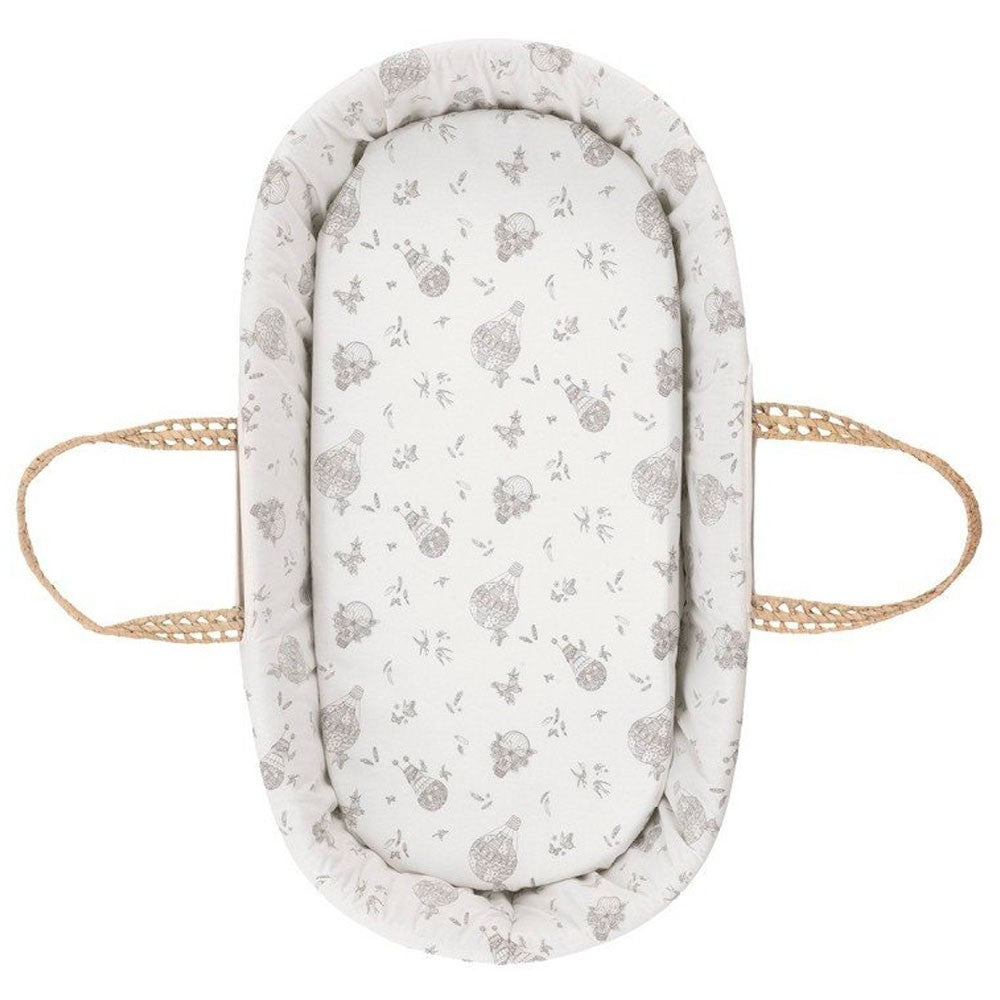 Bajera moises carro Cambrass Globe Crudo