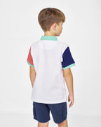 Polo Spagnolo tricolor