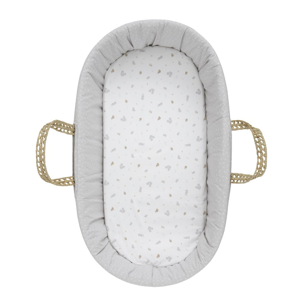 Bajera moises-carro pack 2 ud. Cambrass Ardi